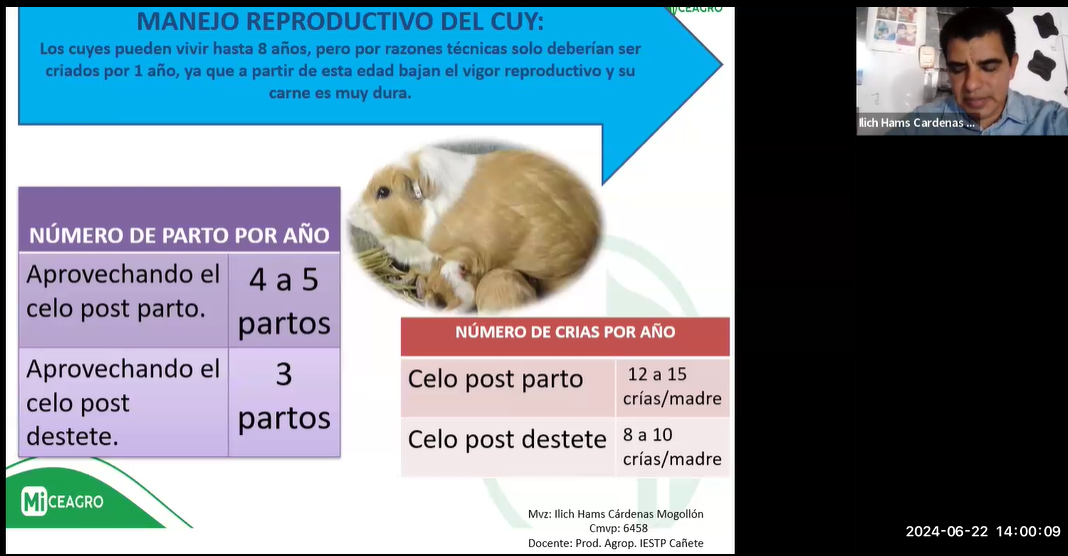 MEJORAMIENTO DE CUYES POR SELECCIÓN